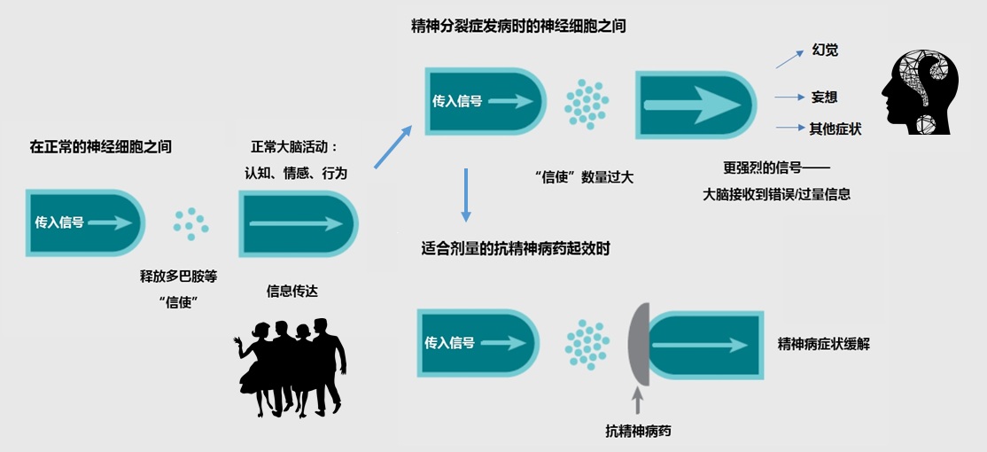 抗劲射脑病药物机制图